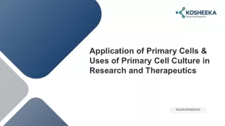 Application of Primary Cells & Uses of Primary Cell Culture in Research