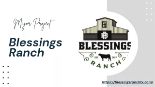 Buy Beef in Bulk from Blessings Ranch