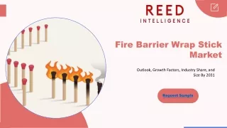 Fire Barrier Wrap Stick Market: Emerging Trends and Market Forecast