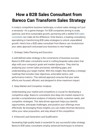 How a B2B Sales Consultant from Bareco Can Transform Sales Strategy