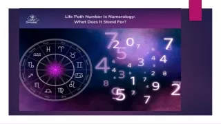 Life Path Number in Numerology What Does It Stand For