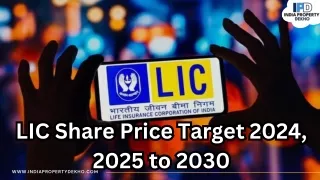 lic share price target 2024 2025 to 2030 2025