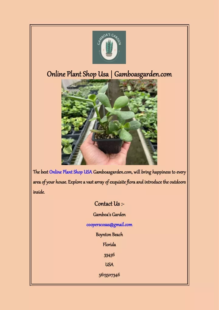 online onlineplant