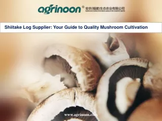 Shiitake Log Supplier Your Guide to Quality Mushroom Cultivation