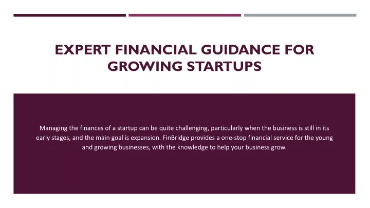 expert financial guidance for growing startups