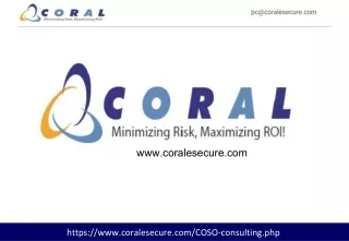 COSO Framework Risk Management