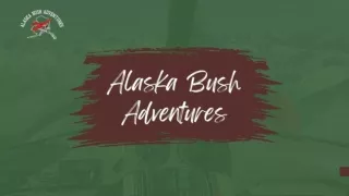 Alaska Bush Adventures