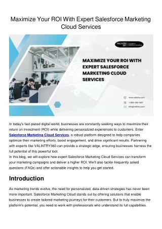 Maximize Your ROI With Expert Salesforce Marketing Cloud Services