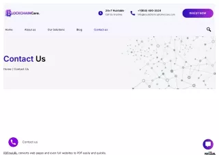 Contact Blockchain Customer Service for Wallet Support