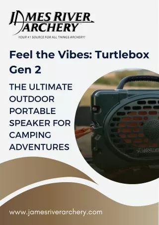 feel the vibes turtlebox gen 2