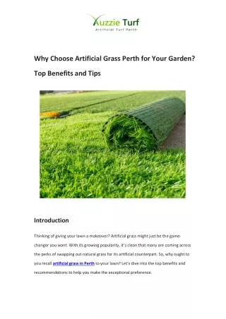 Why Choose Artificial Grass Perth for Your Garden Top Benefits and Tips