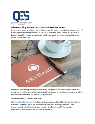 why consulting services are essential to business
