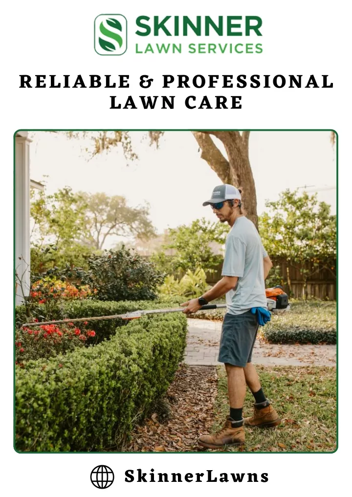 reliable professional lawn care