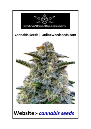 Cannabis Seeds  Onlineweedseeds.com