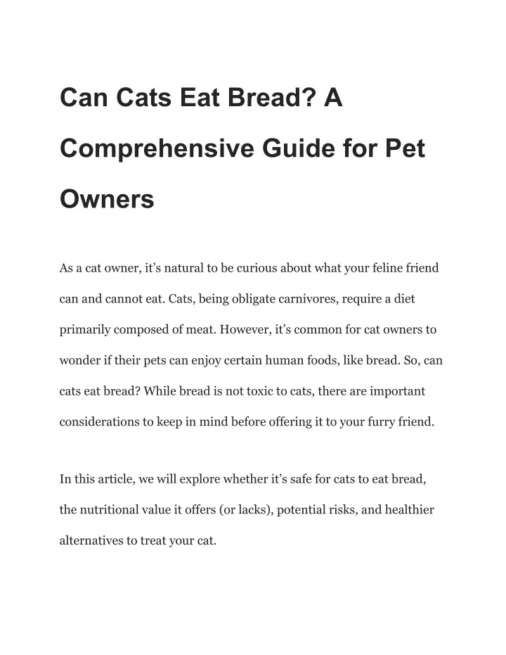 can cats eat bread a