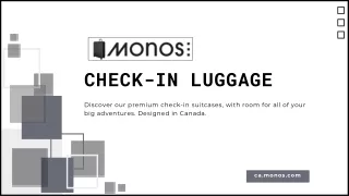 Check-In Luggage