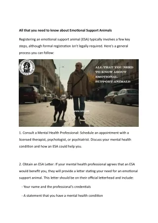 all that you need to know about emotional support