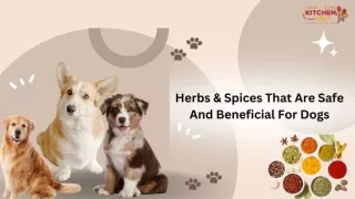 Herbs & Spices That Are Safe And Beneficial For Dogs _ KitchenHut (Pty) Ltd