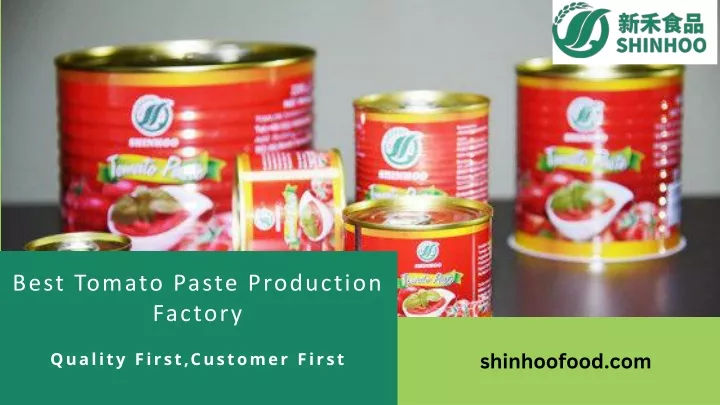 best tomato paste production factory