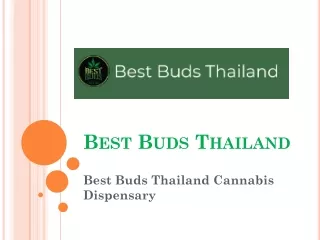 Best Buds Thailand - Cannabis Dispensary In Thailand