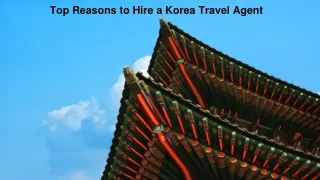 Top Reasons to Hire a Korea Travel Agent