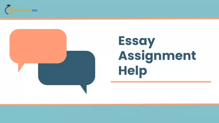 essay assignment help