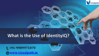 Sailpoint Identity IQ Training | Sailpoint Online Training