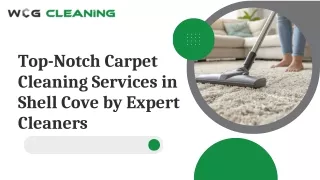 Top-Notch Carpet Cleaning Services in Shell Cove by Expert Cleaners