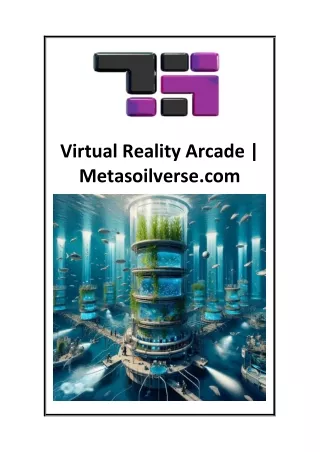 virtual reality arcade metasoilverse com