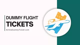 Dummy Flight Ticket