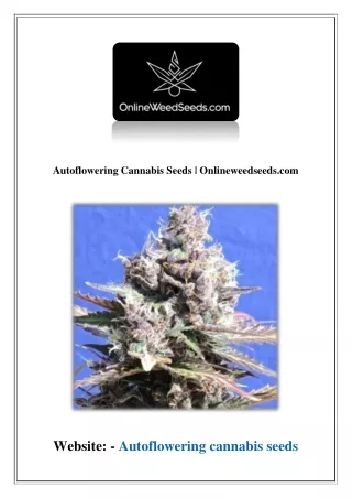 Autoflowering Cannabis Seeds | Onlineweedseeds.com