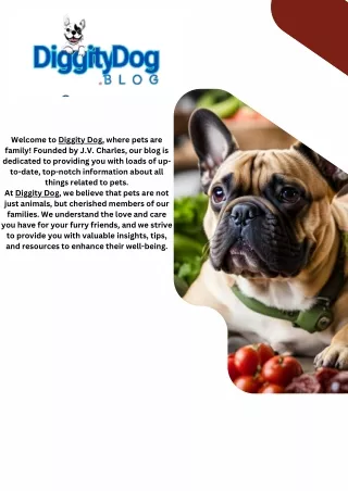 Welcome to Diggity Dog Blog - Your Ultimate Resource for Dog Care