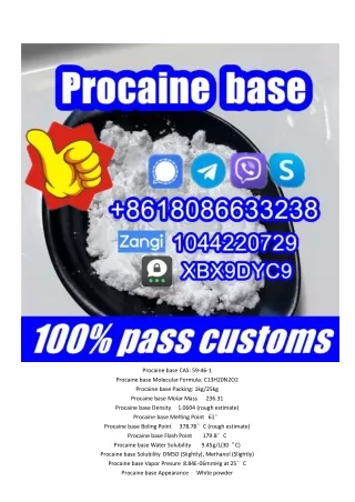 Procaine factory,99.5% procaine base powder on sale
