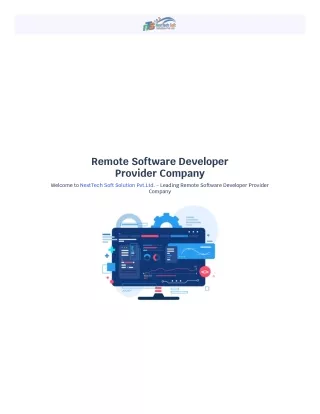 remote software developer provider company