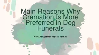 Main Reasons Why Cremation Is More Preferred in Dog Funerals