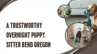 A Trustworthy Overnight Puppy Sitter Bend Oregon