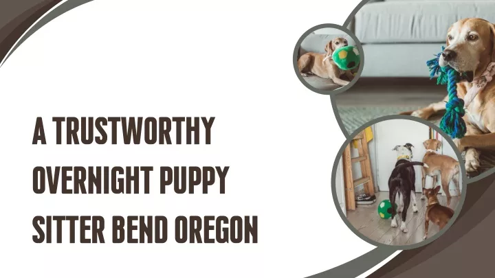 a trustworthy overnight puppy sitter bend oregon