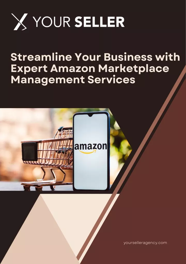 streamline your business with expert amazon