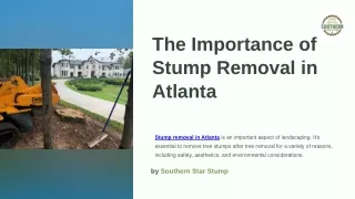 The Importance of Stump Removal in Atlanta