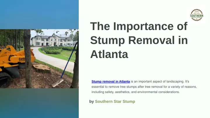 the importance of stump removal in atlanta