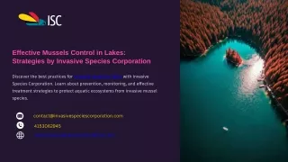 Effective Mussels Control in Lakes Strategies by Invasive Species Corporation