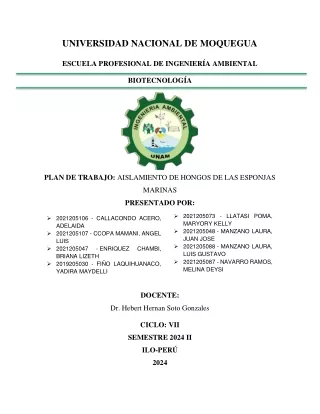 PLAN DE TRABAJO_ESPONJAS MARINAS