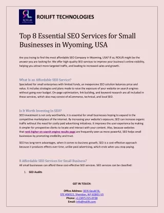 Grow small business with SEO Service in Wyoming, USA