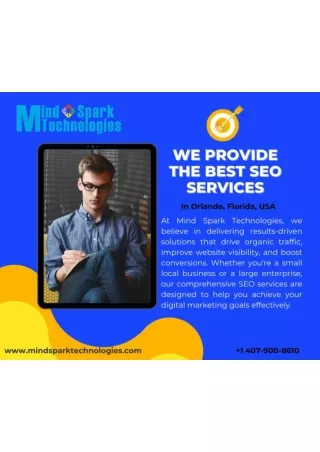 SEO Agency Service Company in Orlando, Florida, USA - Mindspark technologies