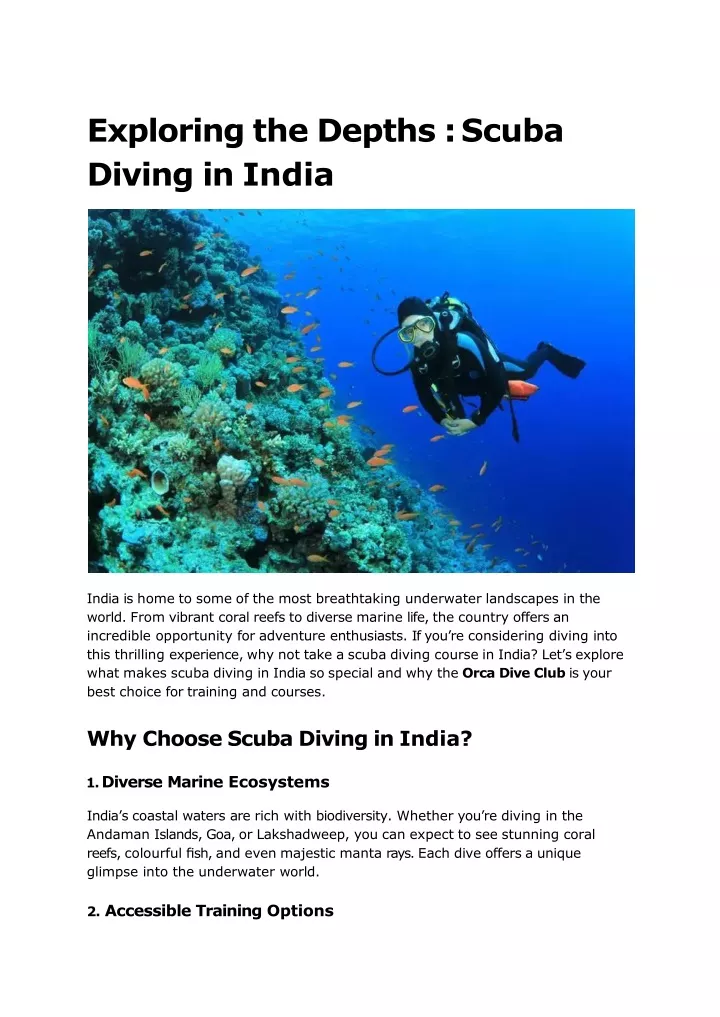 exploring the depths scuba diving in india