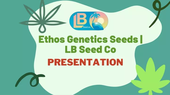 ethos genetics seeds lb seed co