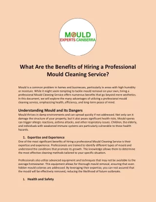 What Are the Benefits of Hiring a Professional Mould Cleaning Service?