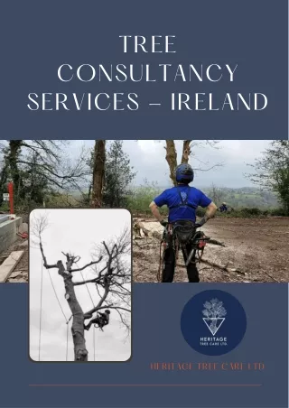 Tree Consultancy Services - Ireland