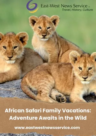 African Safari Family Vacations: Adventure Awaits in the Wild