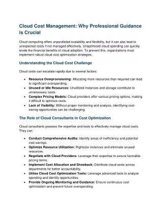 cloud cost management why professional guidance